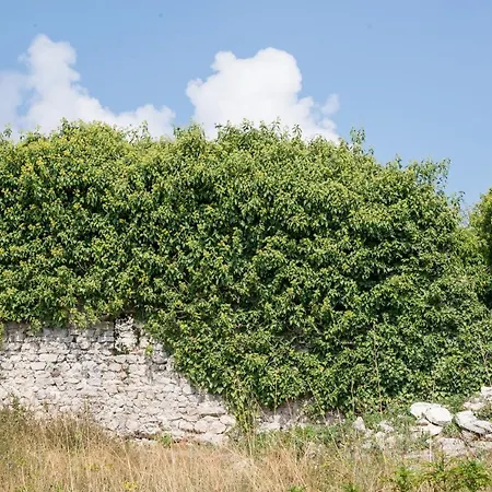 Вилла Heritage Mountain Near Rome W/ Pool & Panoramic Views *